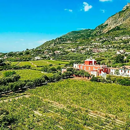 Tenuta Calitto Wine E *