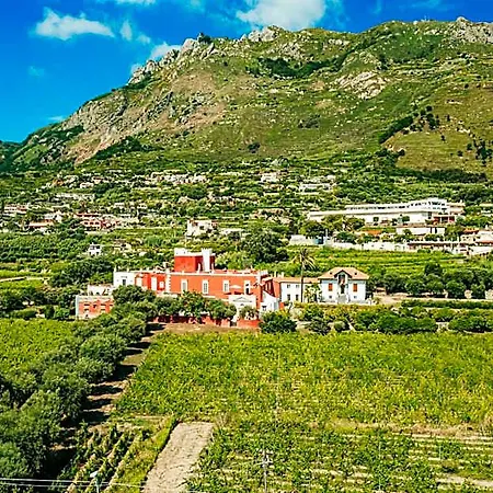 Resort Tenuta Calitto Wine E