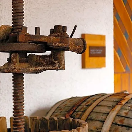 Tenuta Calitto Wine E