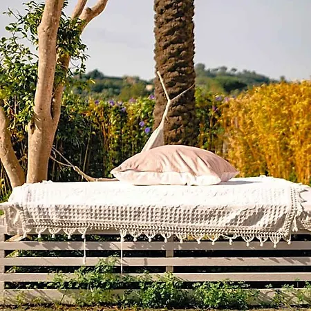 Tenuta Calitto Wine E איסקיה